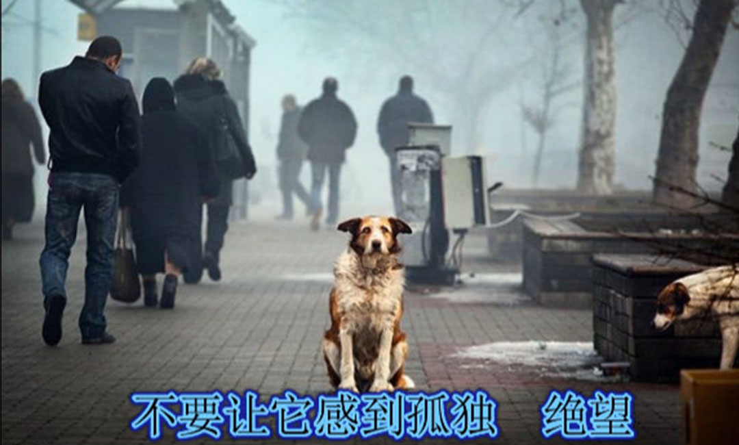 天水天水爱影圈微博微信转发案例
